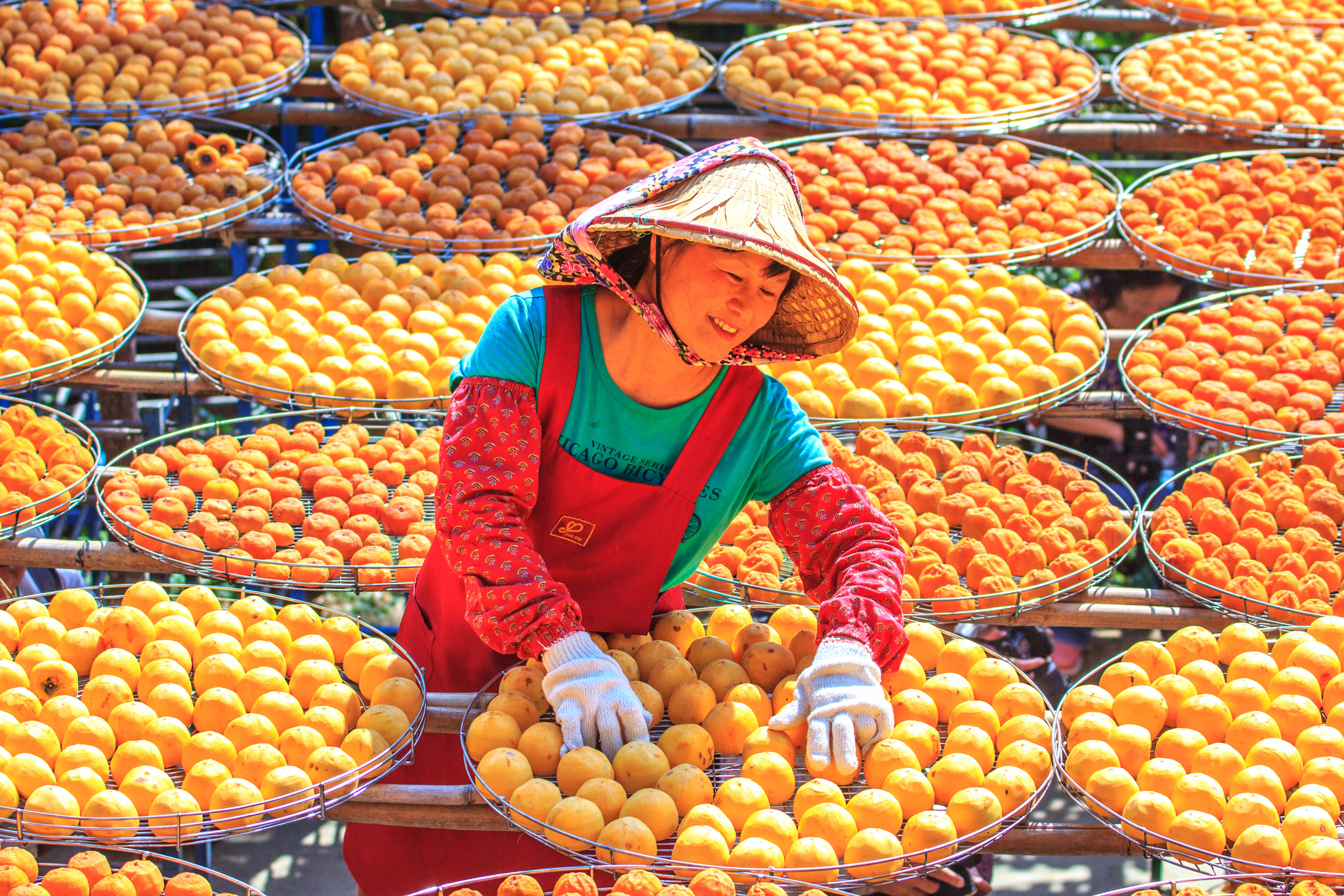 dried-fruit