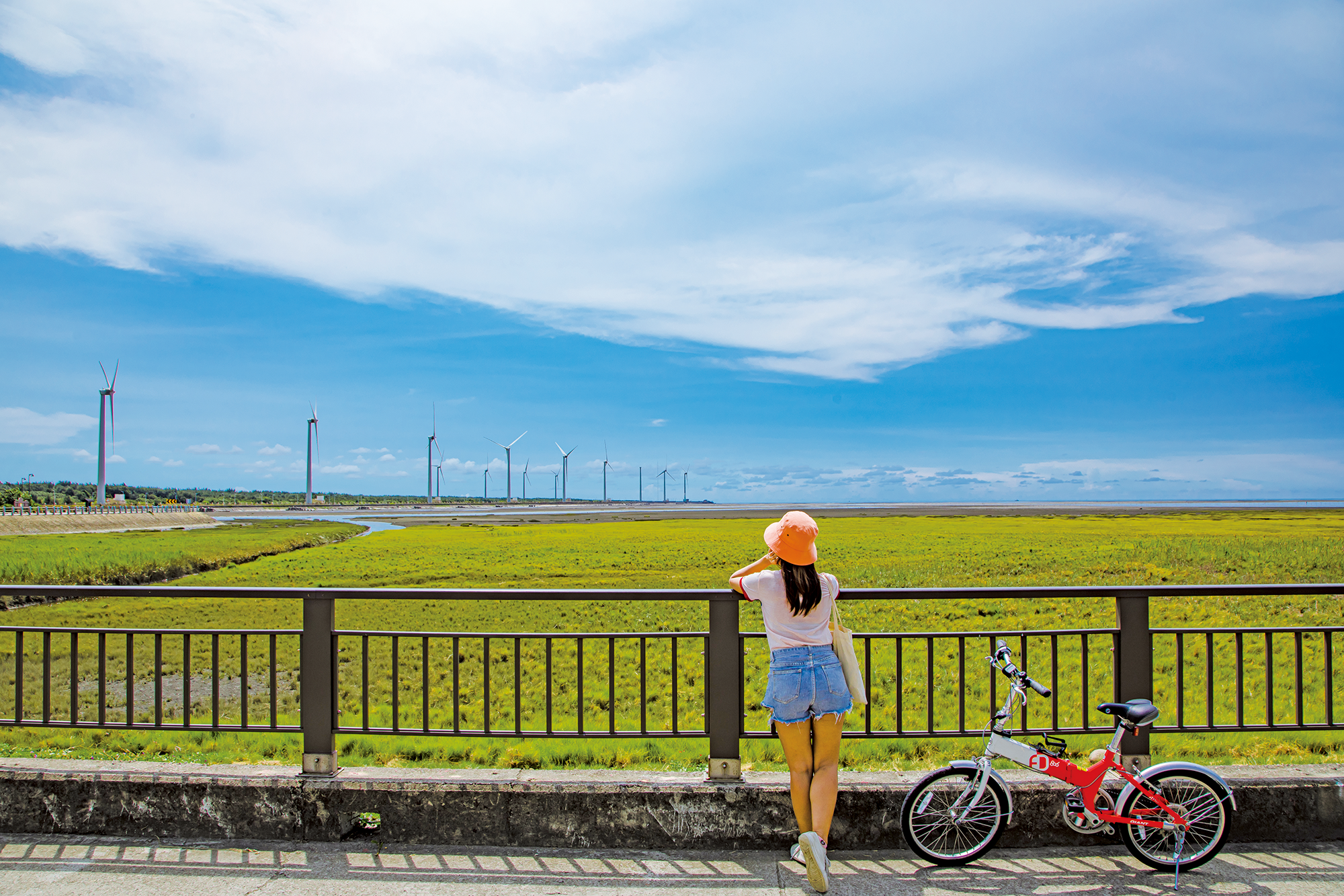 高美濕地自行車道_陳正國攝