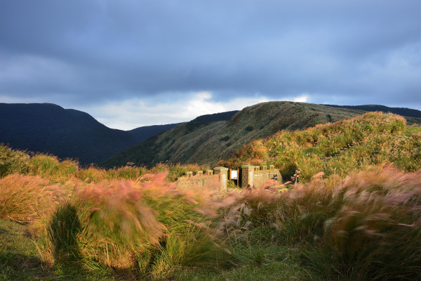 Sejarah Yangmingshan Fish Road