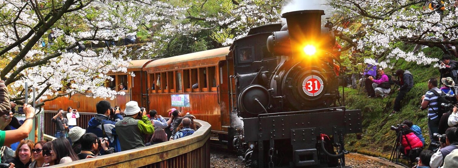 banner-Alishan banner