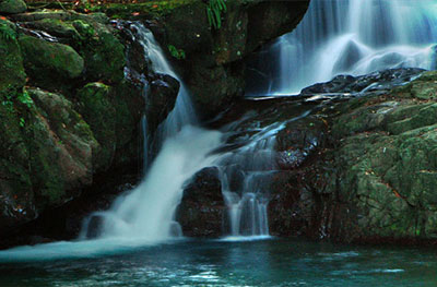 ID_ecotourism Ekowisata